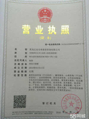 深耕黑土地，服務轉型路——教育咨詢服務助力發展全解析